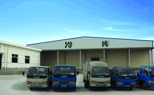 大型冷鏈物流冷藏車，果蔬冷庫安裝設計·