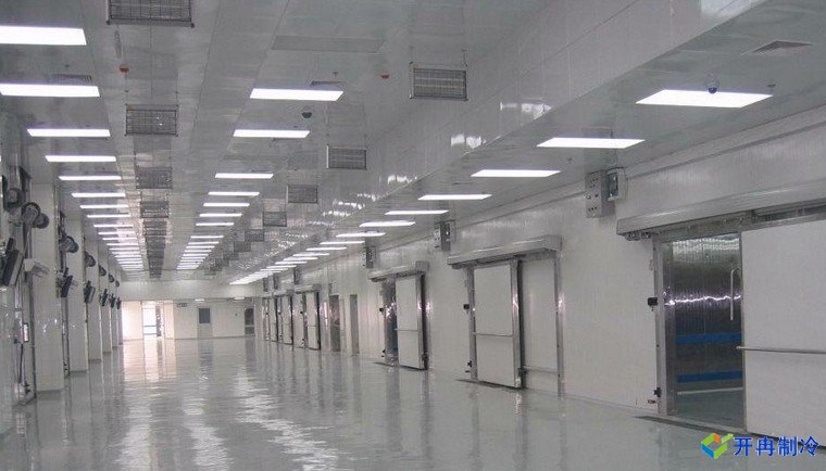 建造500噸帶魚低溫冷庫，海鮮冷凍庫報價