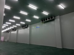 4600平米肉類冷藏庫造價費用是多少？
